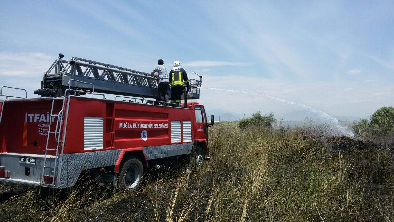 DALKAKIRAN DA OT YANGINI