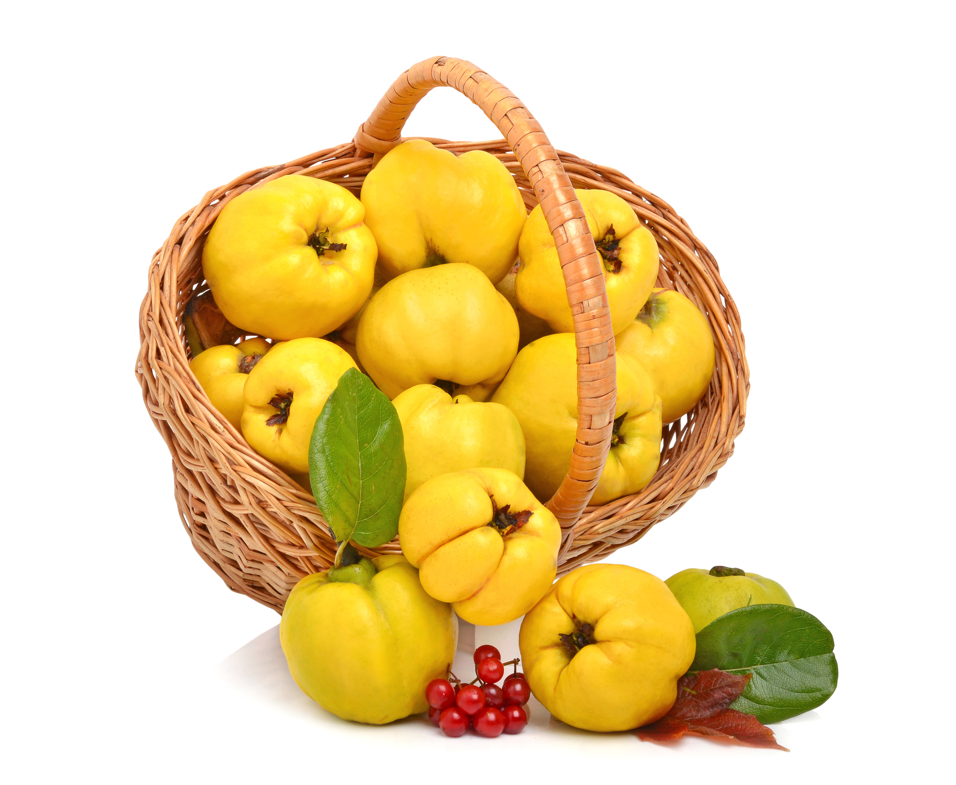 Kış aylarının sağlık deposu: Ayva