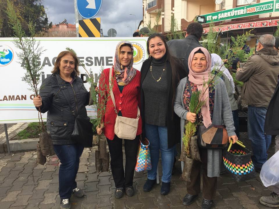 AĞAÇ KESME FİDAN DİK