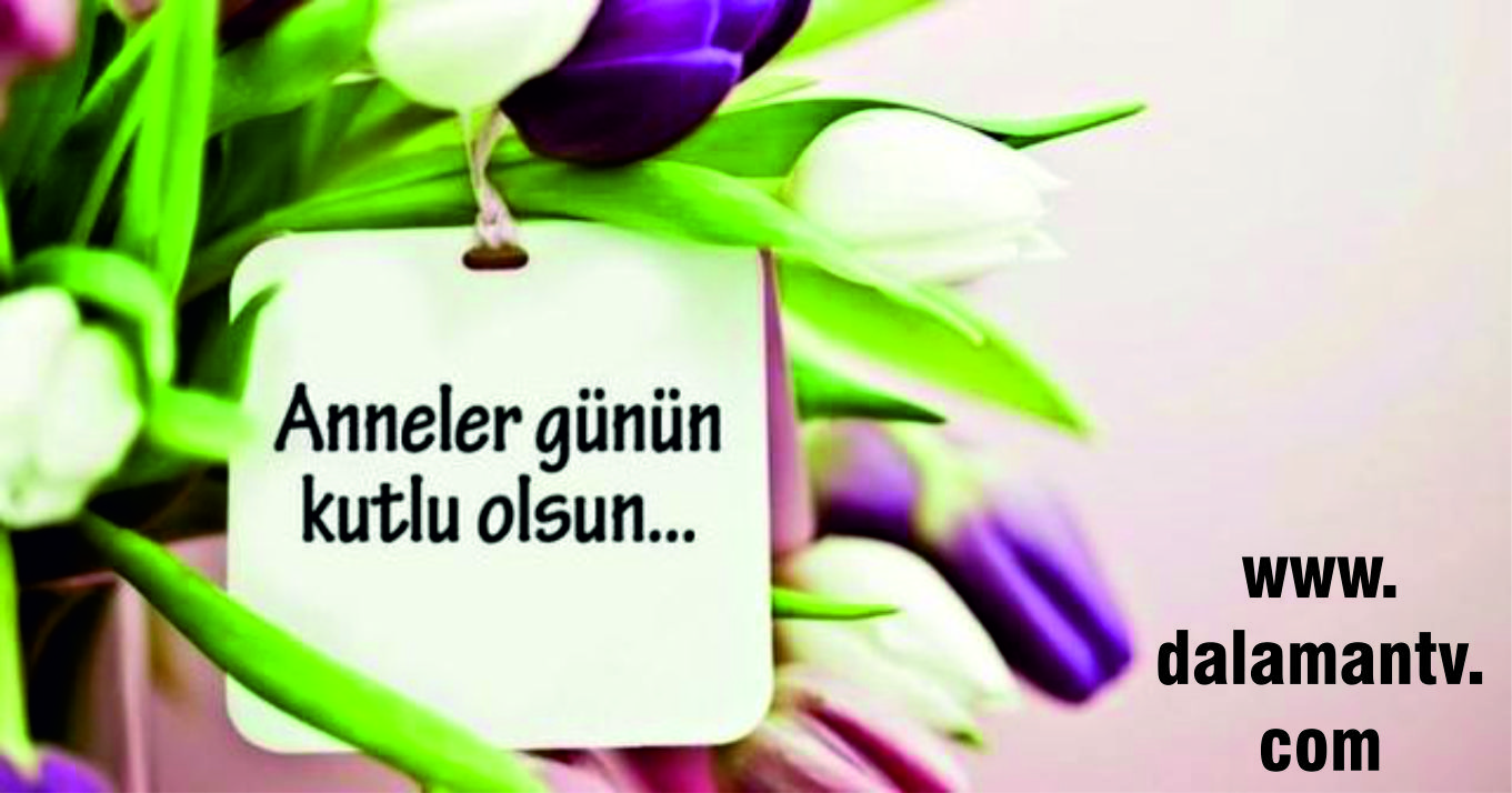 www.dalamantv.com