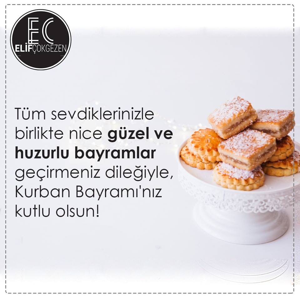 ELİF ÇOKGEZEN ARSA YATIRIM DANIŞMANLIK