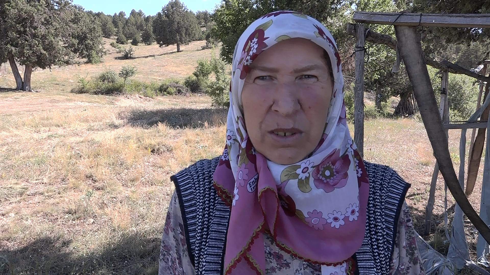 Esme Teyzenin Yol Sevinci