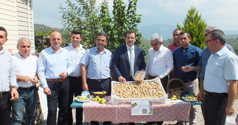 İNCİR ÜRETİCİLERİNE ZİYARET YAPILDI