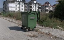 KAYMAKAMLIK LOJMANININ DA BULUNDUĞU SOKAKTAKİ SİTELERDE ZEHİRLİ MAMA İLE KEDİ KATLİAMI YAPILDI.