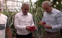 AK PARTİ İL BAŞKANI DALAMAN DA İNCELEMELERDE BULUNDU İLÇE BAŞKANLARI DALAMAN DA TOPLANDI