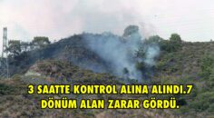 DALAMAN BEZKESE MAHALLESİ ORMAN YANGINI 3 SAATTE KONTROL ALINA ALINDI.7 DÖNÜM ALAN ZARAR GÖRDÜ.