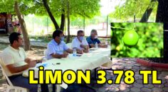 LİMON 3.78 TL