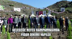 DALAMAN “GELECEĞE NEFES” VERDİ, FİDANLAR TOPRAKLA BULUŞTU.