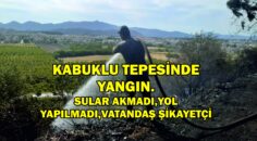 KABUKLU TEPESİNDE YANGIN.SULAR AKMADI,YOL YAPILMADI,VATANDAŞ ŞİKAYETÇİ