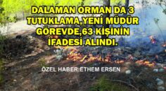 DALAMAN ORMAN DA 3 TUTUKLAMA,YENİ MÜDÜR GÖREVDE,63 KİŞİNİN İFADESİ ALINDI.(E.E)