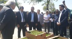 DALAMAN DA “ATA TOHUMU”NDAN YAPILAN FİDELERİN DAĞITIMI YAPILDI