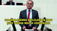 DALAMAN-ÇÖĞMEN KÖYLÜLERİNİN TAPU ŞOKU TEKRAR MECLİS GÜNDEMİNDE