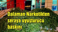 Dalaman Narkotikten seraya uyuşturucu baskını