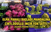 İNCİR ÜRETİCİNİN YÜZÜNÜ GÜLDÜRDÜ.ELMA PAHALI BAŞLADI.MANDALİNA PAZARA GELDİ.DALAMAN PERŞEMBE PAZARI