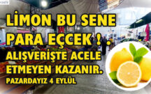 LİMON BU SENE PARA EÇCEK ! .ALIŞVERİŞTE ACELE ETMEYEN KAZANIR.PAZARDAYIZ 4 EYLÜL