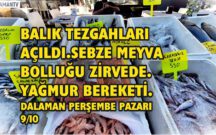 BALIK TEZGAHLARI AÇILDI.SEBZE MEYVA BOLLUĞU ZİRVEDE.YAĞMUR BEREKETİ.DALAMAN PERŞEMBE PAZARI 9/10