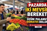 PAZARDA İKİ MEVSİM BEREKETİ. ÜZÜM PALAMUT DOMATES BOLLUĞU. DALAMAN PERŞEMBE PAZARI 1 EKİM