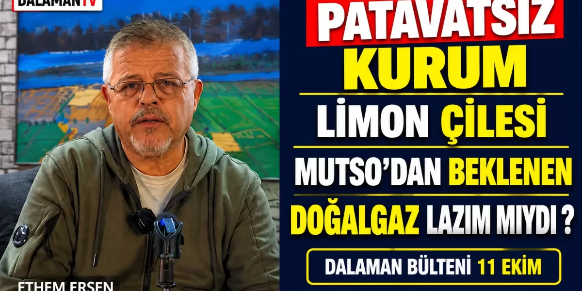 PATAVATSIZ KURUM, LİMON ÇİLESİ, MUTSO DAN BEKLENEN, DOĞALGAZ LAZIM MIYDI ? DALAMAN BÜLTENİ 11 EKİM