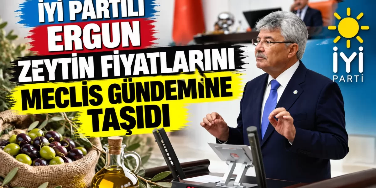 İYİ PARTİLİ ERGUN ZEYTİN FİYATLARINI MECLİS GÜNDEMİNE TAŞIDI