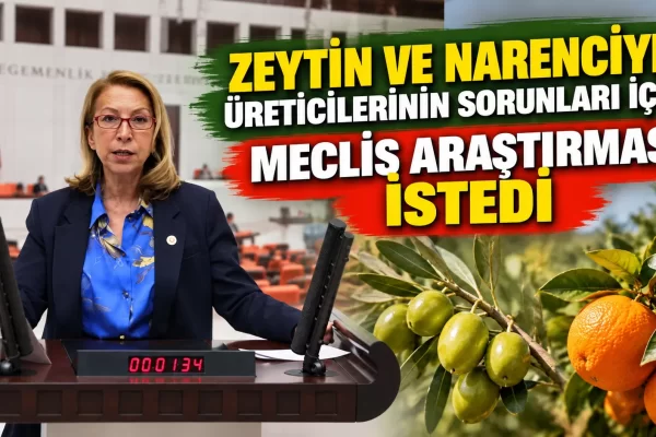 ZEYTİN VE NARENCİYE ÜRETİCİLERİNİN SORUNLARI İÇİN MECLİS ARAŞTIRMASI İSTEDİ